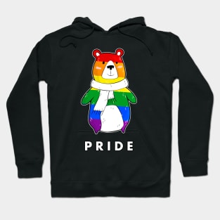 Pride Bear Wearing a Scarf Hoodie